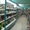 Продается супермаркет+производственный цех - Изображение #3, Объявление #11415