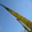 Кран 26 тонн Komatsu LW250-5 Wing - Изображение #4, Объявление #222099