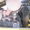 Кран 26 тонн Komatsu LW250-5 Wing - Изображение #1, Объявление #222099