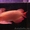 Великолепный Идеальный аквариум свободно хорошие arowana дома - Изображение #2, Объявление #495074