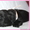 русского черного терьера щенок - Изображение #4, Объявление #827979
