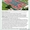 Укладка наливного покрытия из резиновой крошки, монтаж наливного резинового покр - Изображение #1, Объявление #1084432