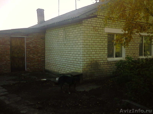продам дом с.Кремово михайловский район - Изображение #3, Объявление #207534