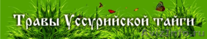 Травы Уссурийской тайги ДВ - Изображение #1, Объявление #656318