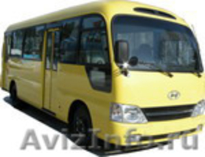 Продаём автобусы   Хундай  Hyundai   Kia Дэу Daewoo  в наличии Омске. в наличии. - Изображение #1, Объявление #848613