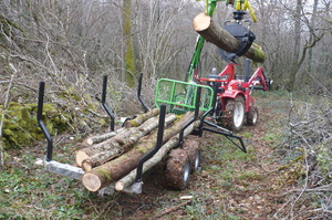 ATV форвардер для трелевки леса - Изображение #7, Объявление #1078828
