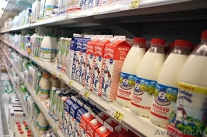 Продам раскрученный павильон «Молоко. Бакалея» на рынке. Стабильность. - Изображение #5, Объявление #1572077